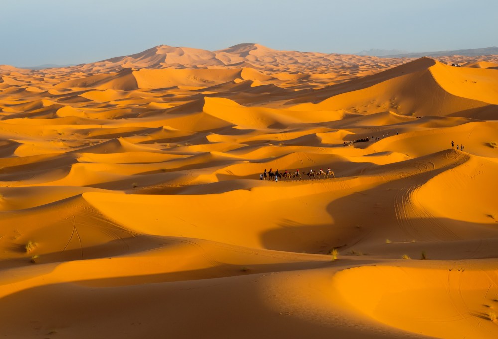 Die Sahara mit allen Sinnen spüren – Kameltrekking & Picknick in den Dünen 