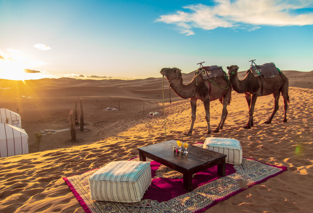 Fahrt und Ritt in das Wüstencamp Erg Chebbi 