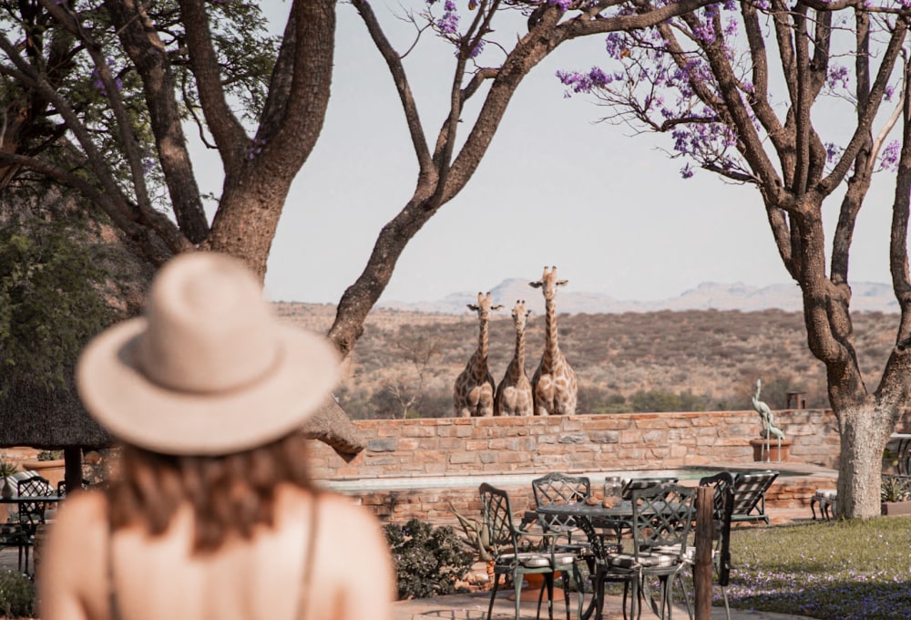 Rückkehr nach Windhoek und Übernachtung in der der Voigtlang Guest Farm