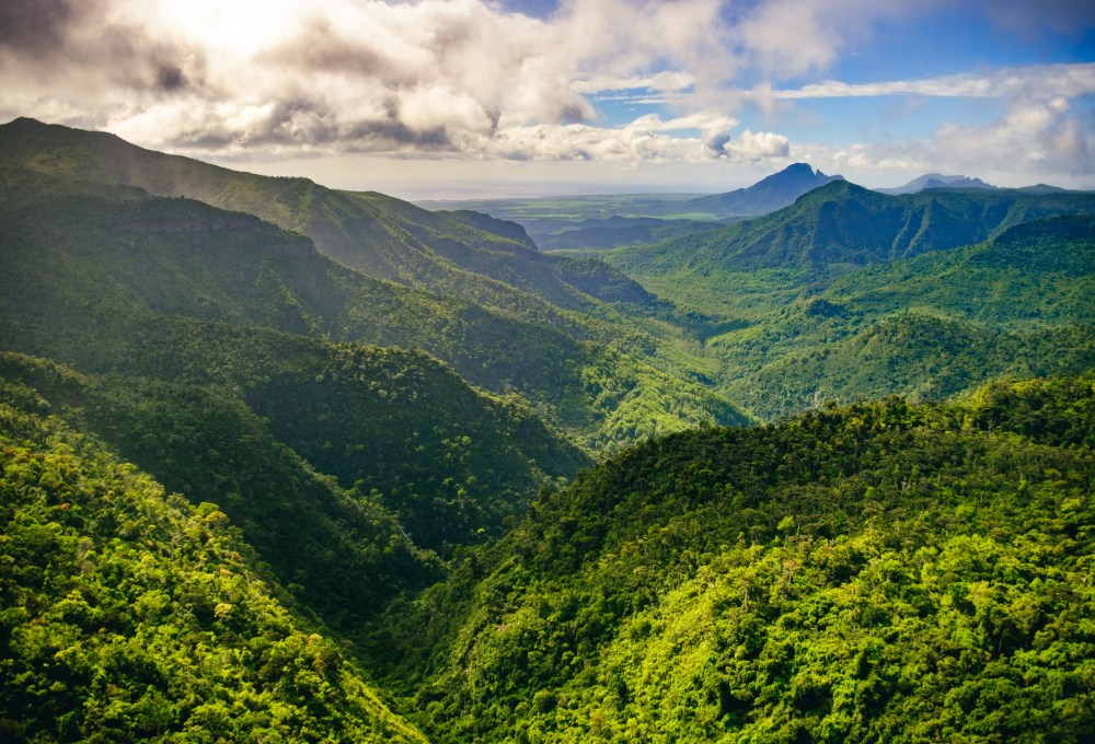Geführte Wanderung im Black River Gorge Nationalpark