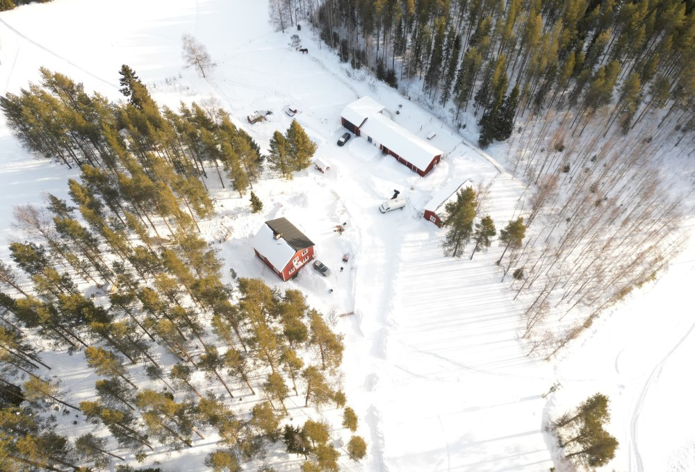 Willkommen in Schwedisch Lappland