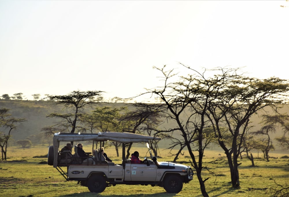 Die weltberühmte Serengeti 