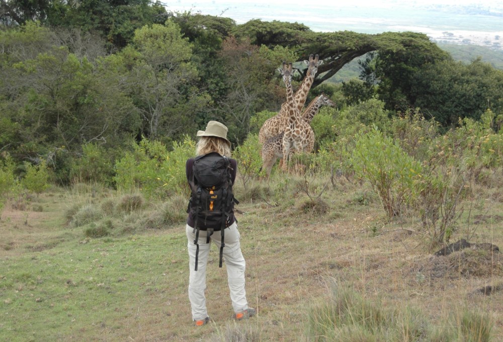 Fahrt zum Momella Gate am Arusha Nationalpark & Trek zum Miriakamba Hut, 2.515 m