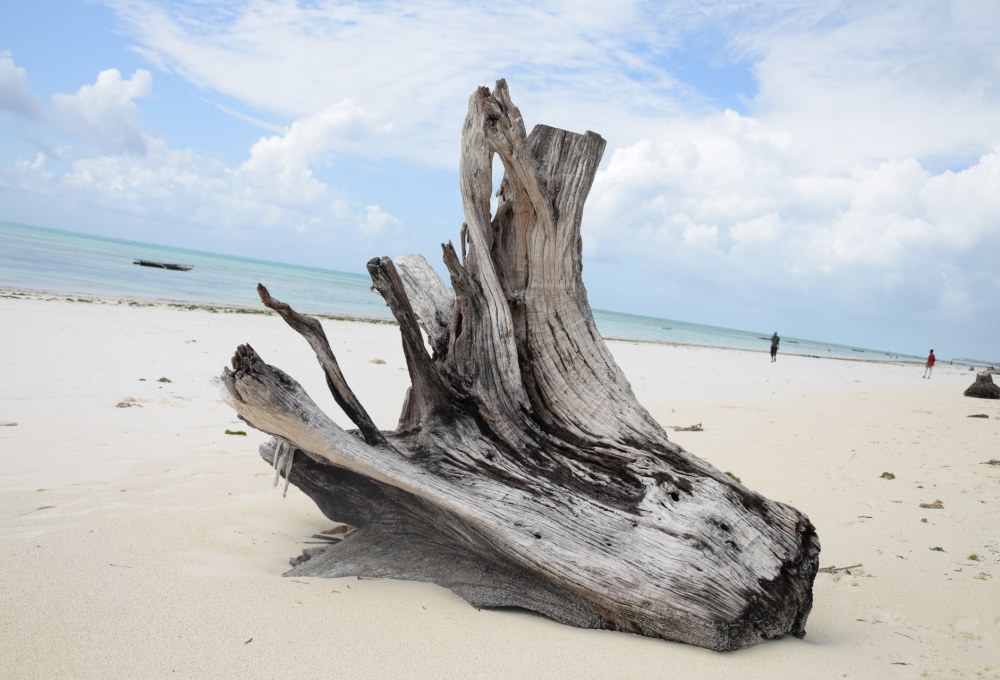 Strandgut und Inselcharme