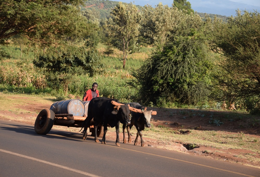 Karatu nach Arusha Airport - Ab auf die Insel