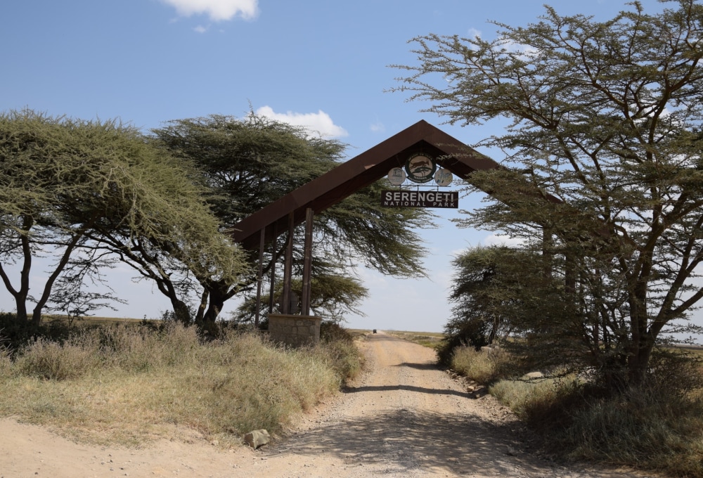 Ziel Ndutu - Auf in die weltberühmte Serengeti 