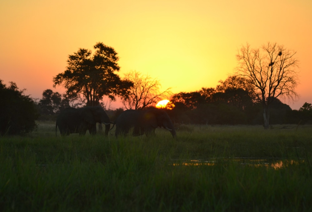 Von Maun ins Okavango Delta