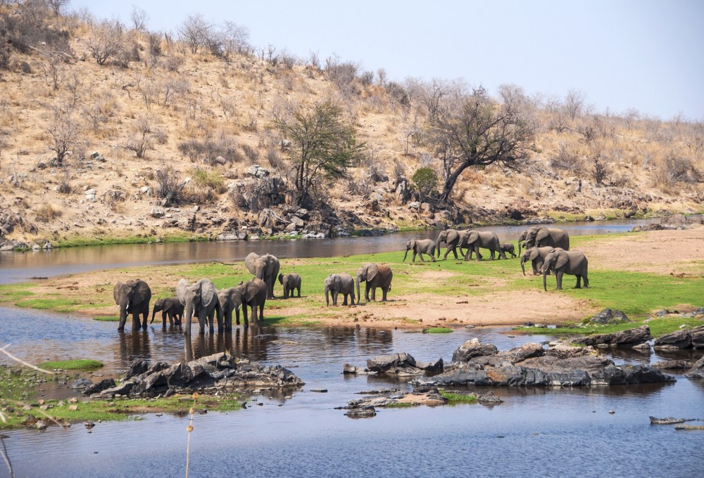 Elefantenpark Tarangire Nationalpark 