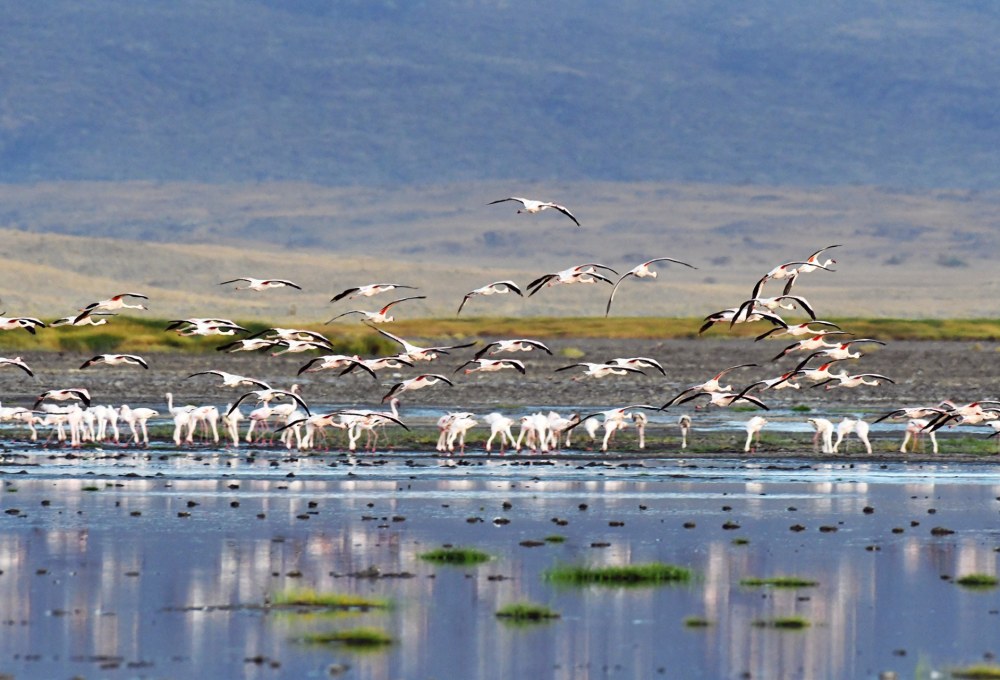 Über Mto wa Mbu zum Lake Natron