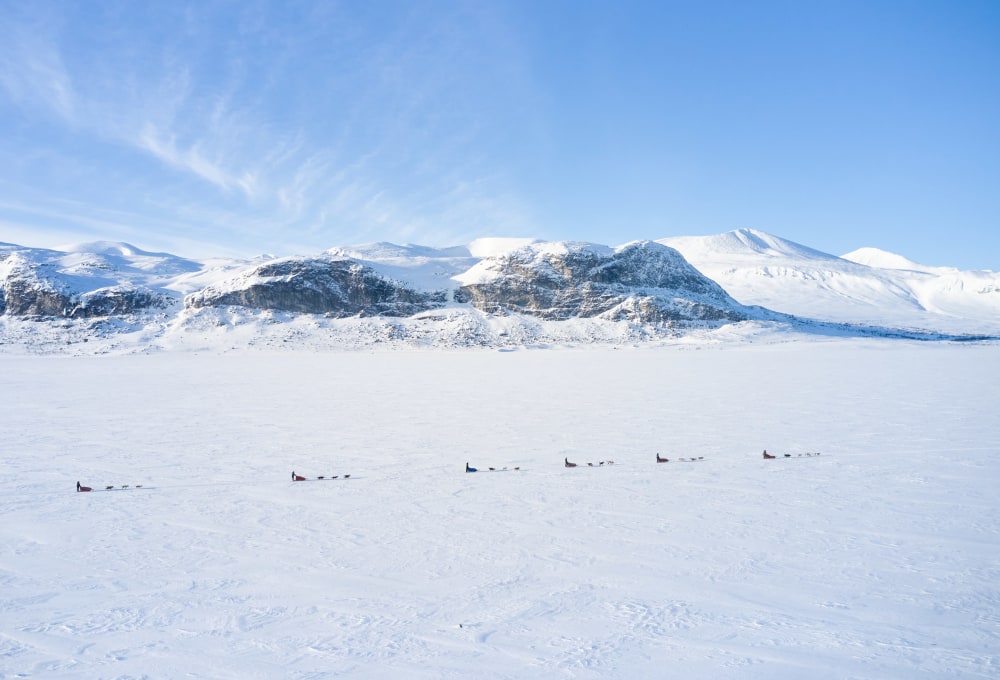 Huskytour im Reisa-Nationalpark