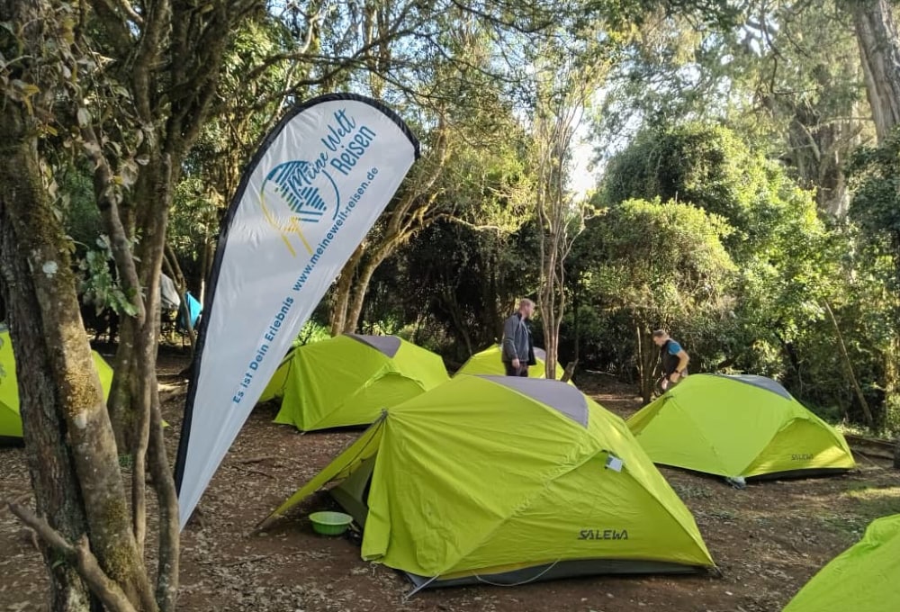 Wanderung zum Shira Plateau als Selbstfahrer