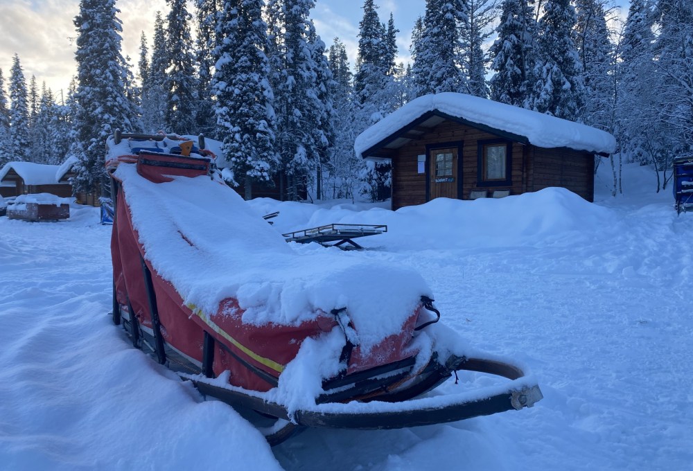 Hundeschlitten vor einer Blockhütte