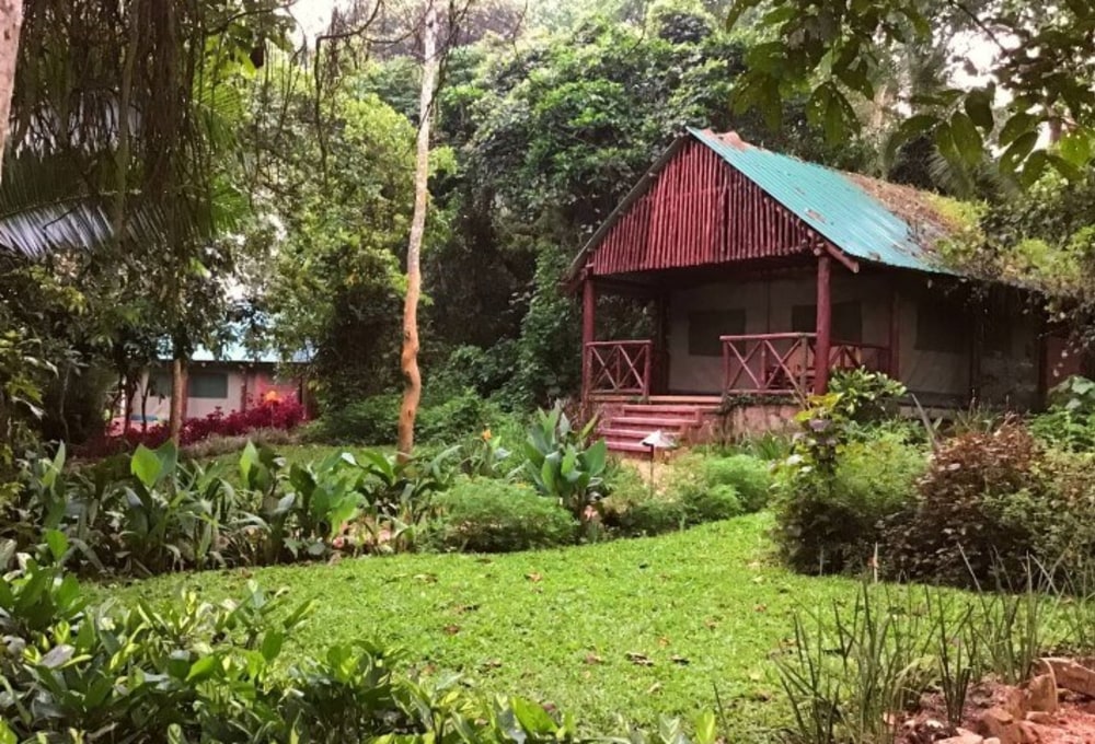 Kibale Forest Camp