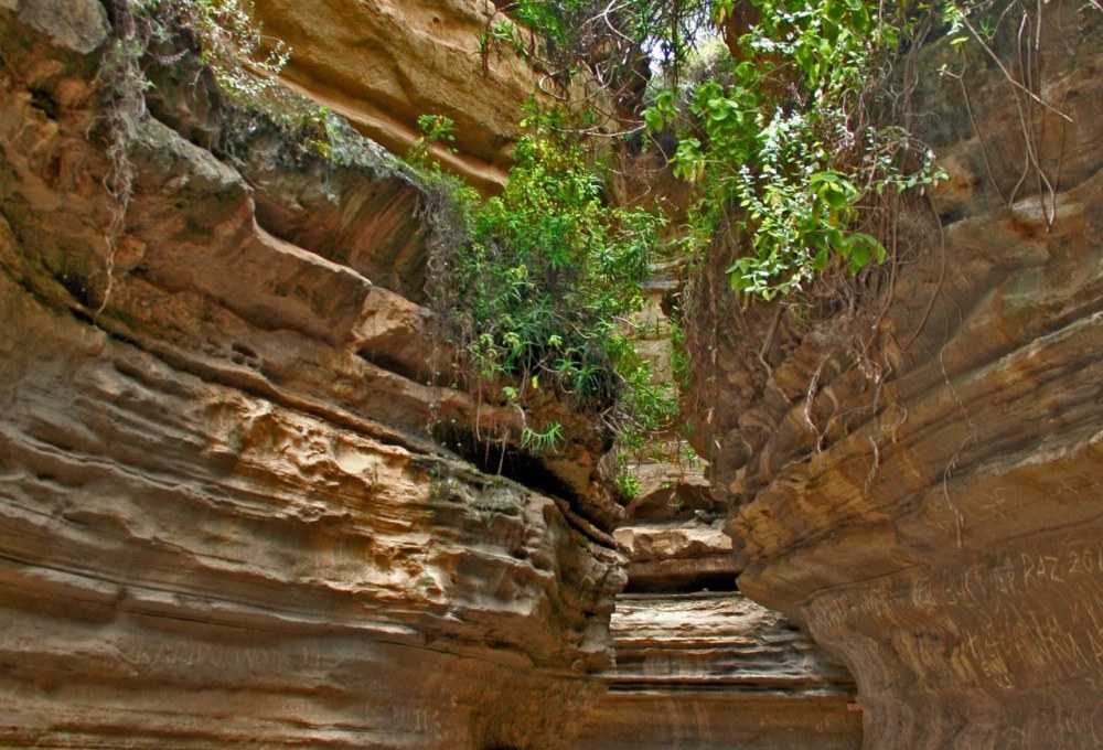 Regenwald im Aberdare Gebirge