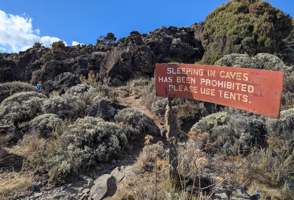 Aufstieg in das Shira II Camp, 3.840m