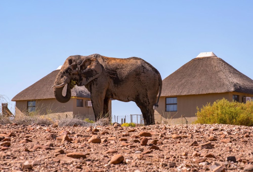 Palmwag Lodge Gondwana Collection Namibia