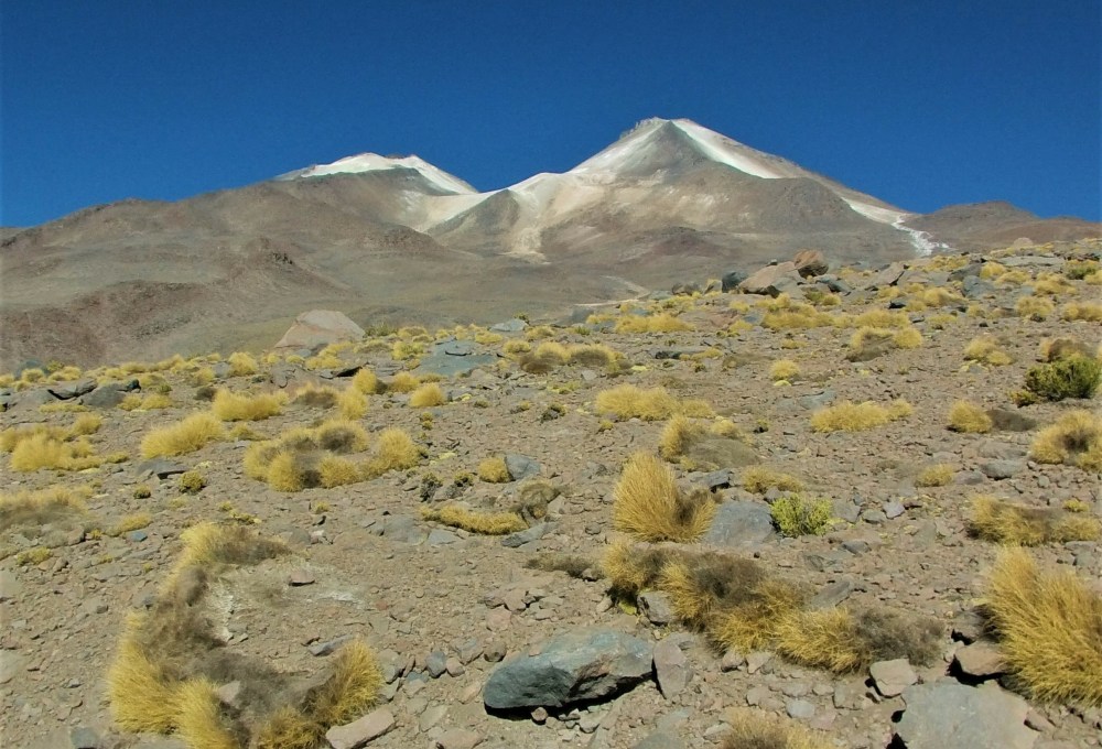 Besteigung des Uturuncu (6.008 m) & Fahrt nach Villa Mar