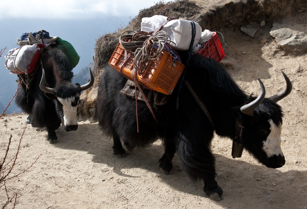 Wanderung über Namche nach Monjo (2.835 m)