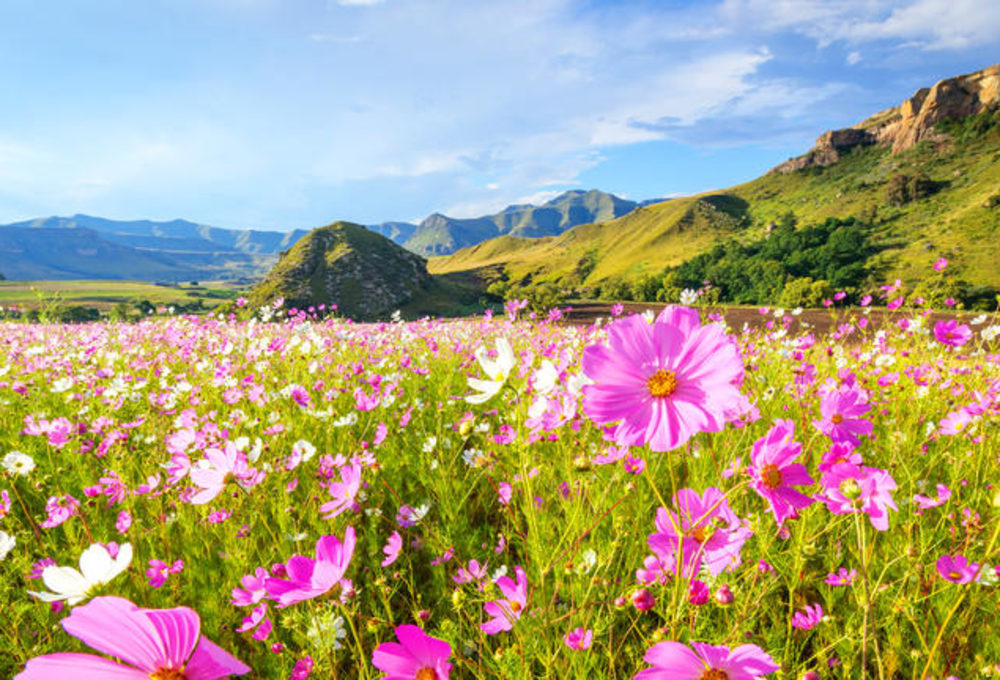 Wandern in Central Drakenberg