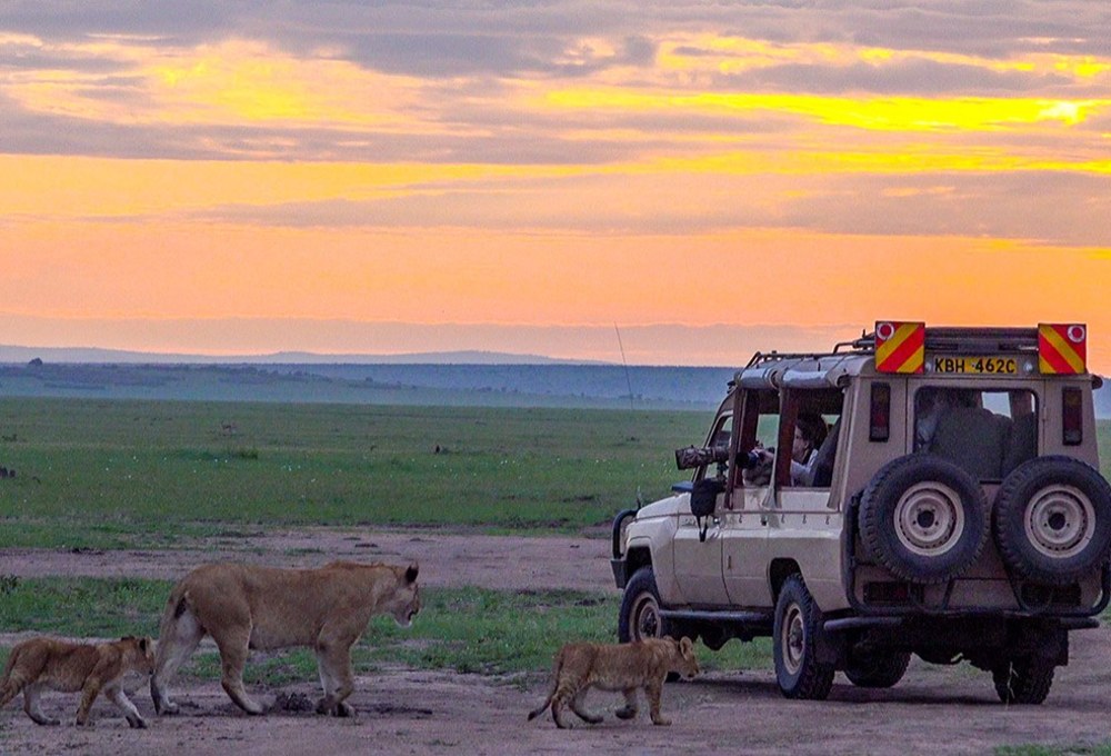 Von Nairobi in die Masai Mara