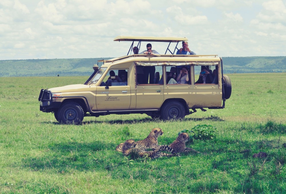 Auf in die Masai Mara