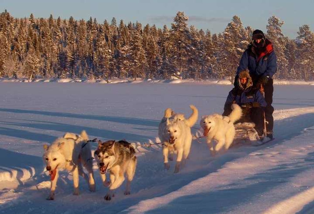 Ein weiterer Tag mit dem Hundeschlitten