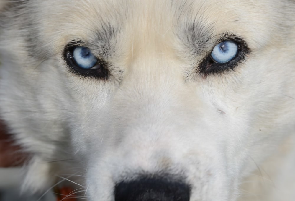 Zurück zum Camp und Start der Motoren 
