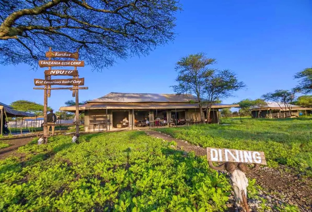 Ndutu – Tanzania Bush Camps