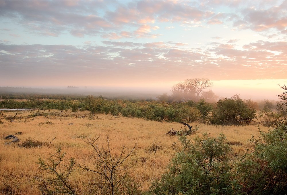 Die Pafuri-Region des Krüger Nationalparks