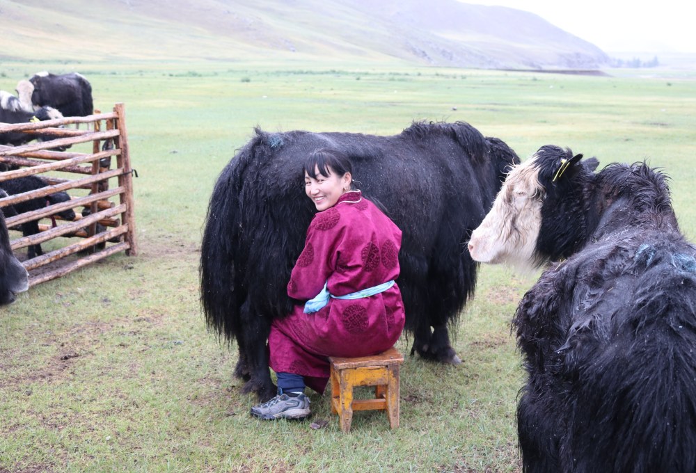 UNESCO-Welterbe Orkhon-Tal, Wasserfall & Besuch einer Nomadenfamilie