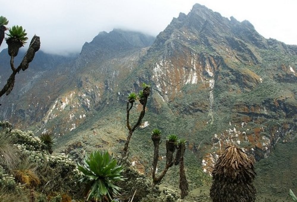 Vom Namusangi-Tal zum Bugata-Camp, 4.062 m