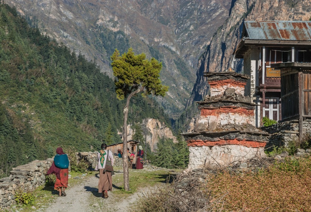 Abstieg nach Nar Phedi (3.550 m)