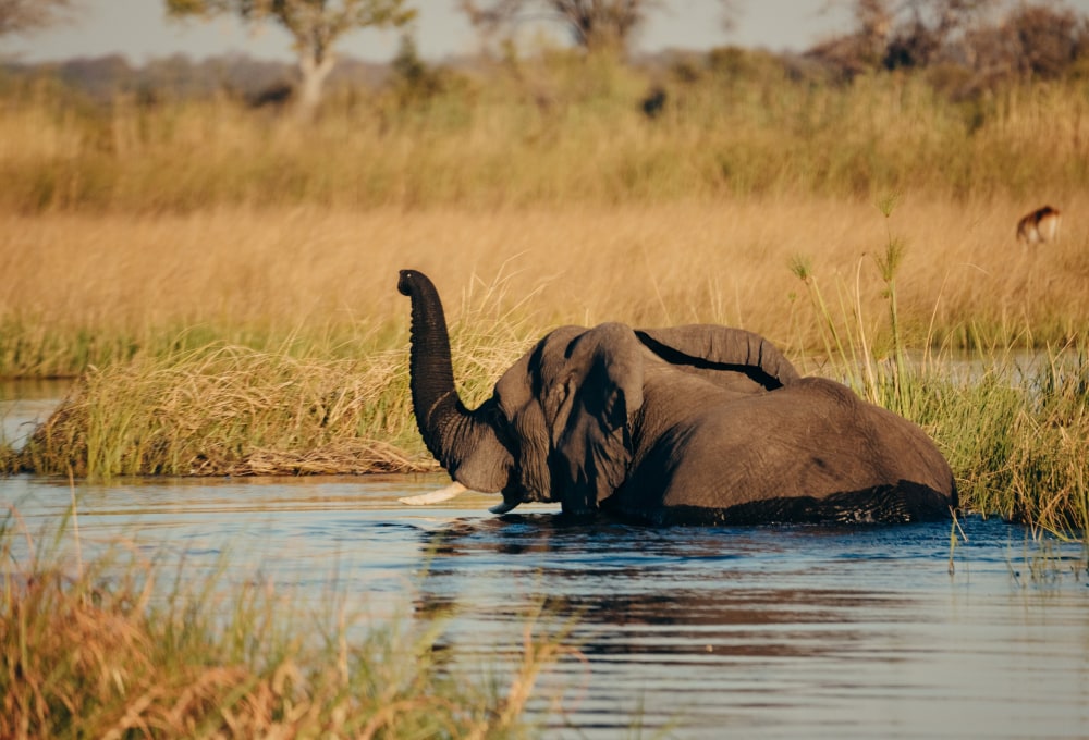 Entlang des Kavango-Flusses nach Rundu