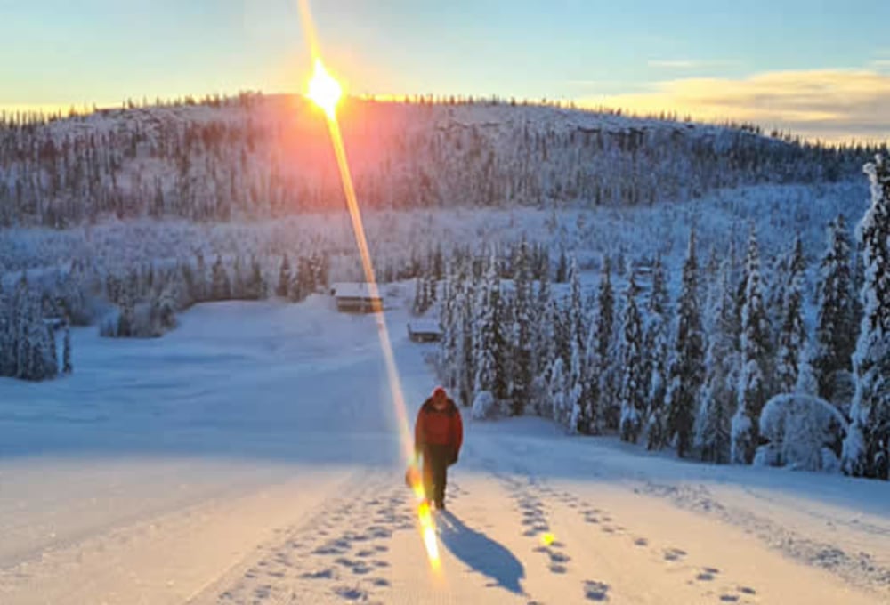 Tag zur freien Verfügung