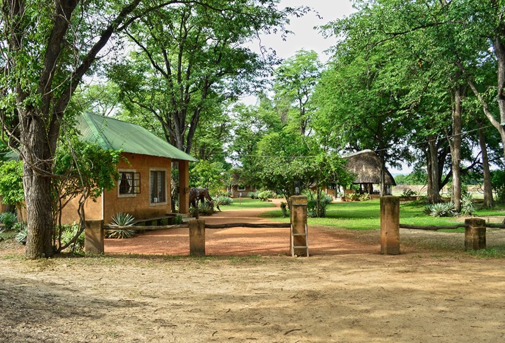 Wildlife Camp