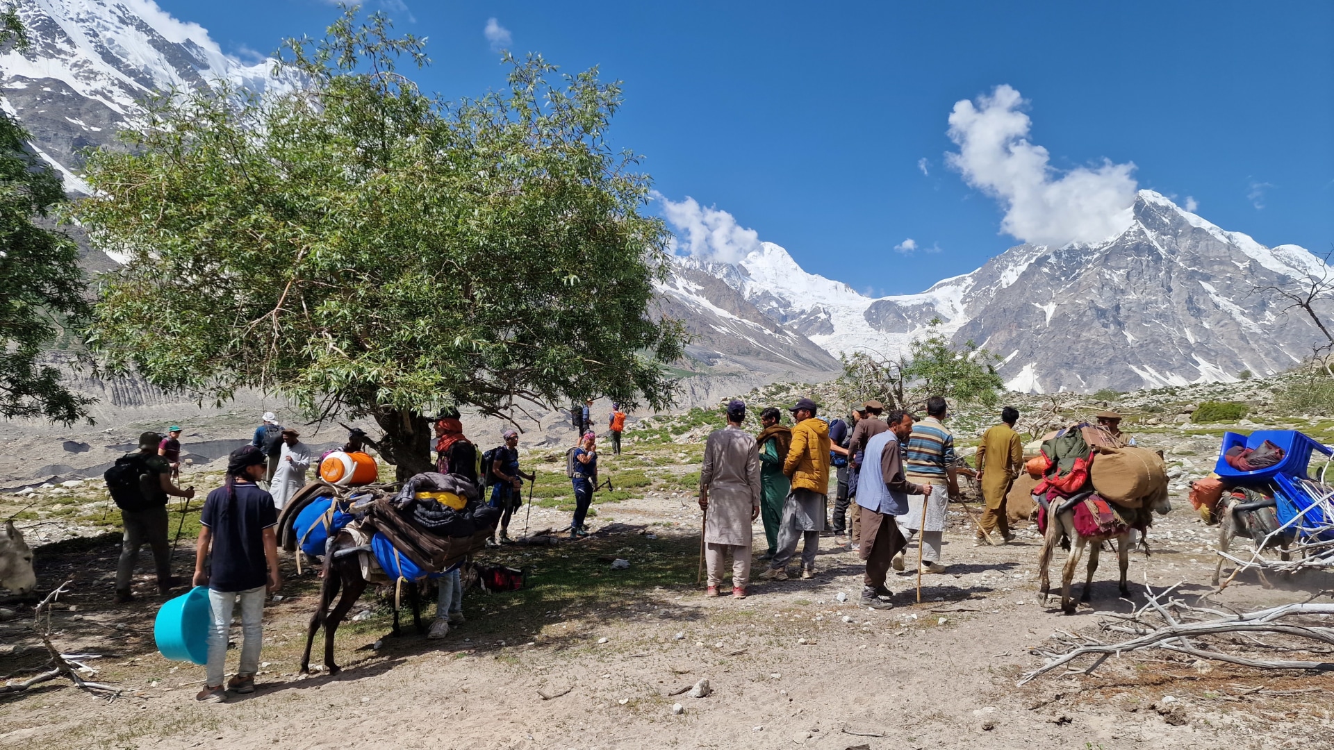 Nanga Parbat Umrundung mit Abstecher ins Hunza-Tal