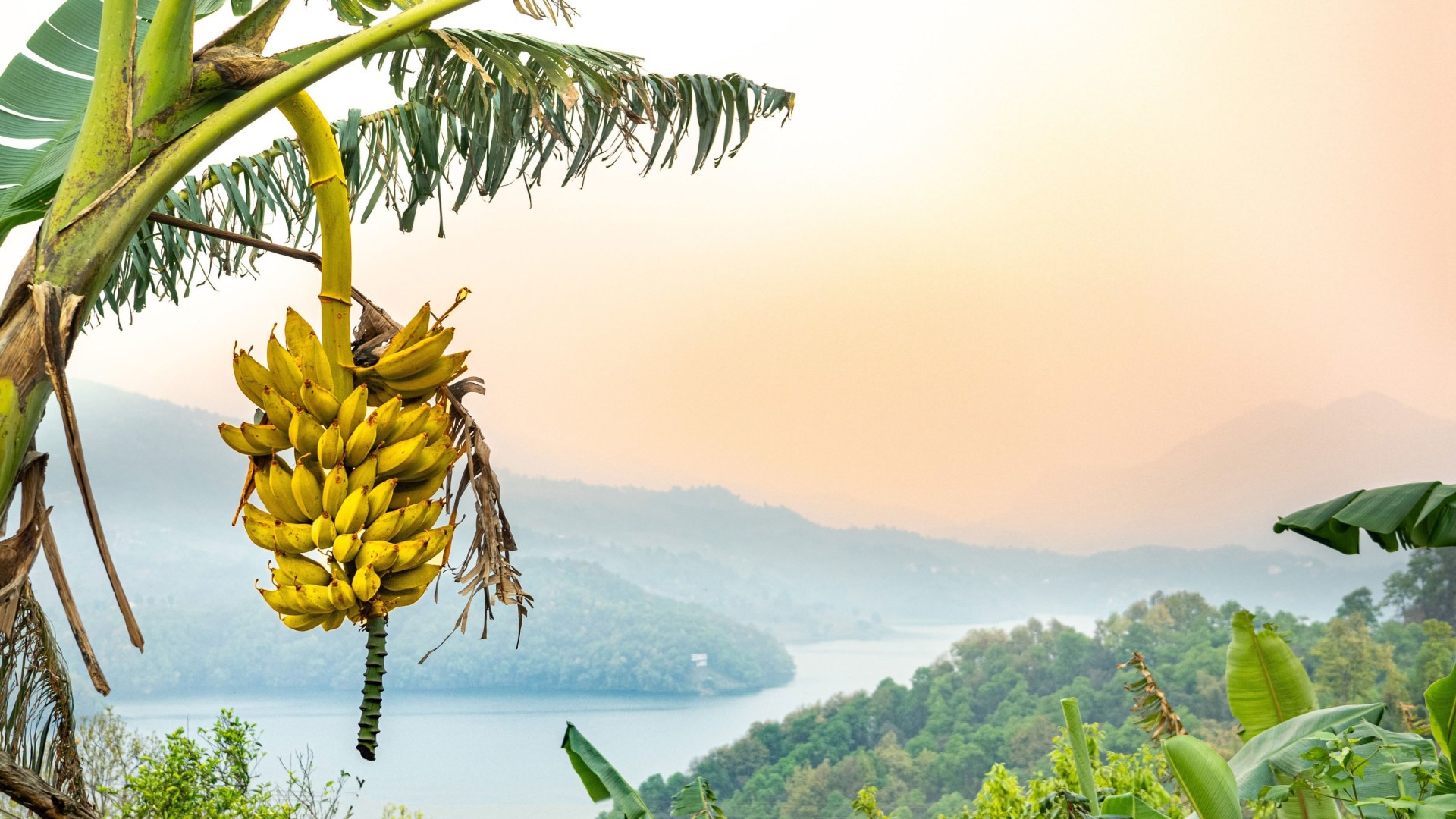 Nepal für Einsteiger