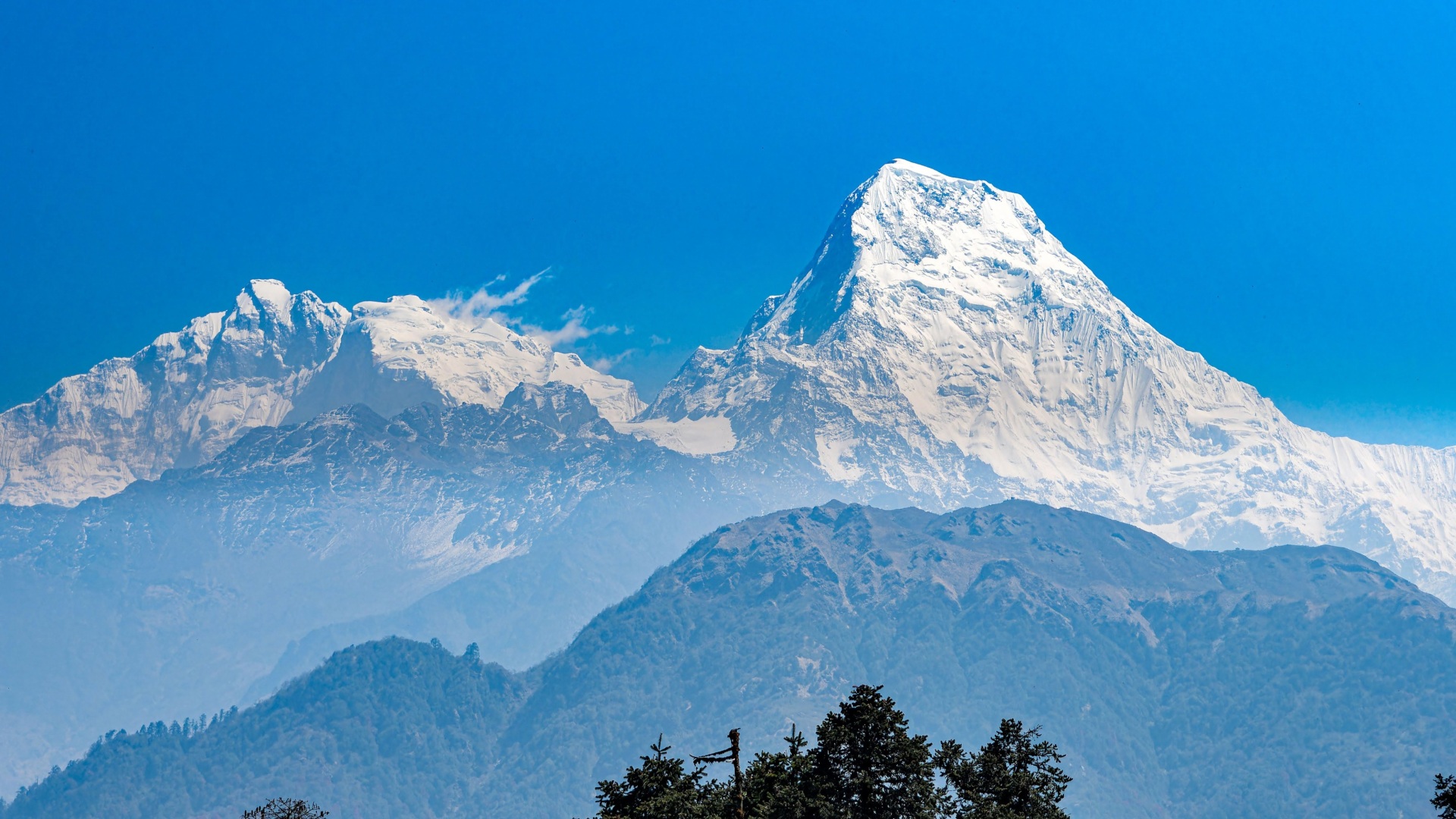 Kultur und Natur am Fuße des Himalayas