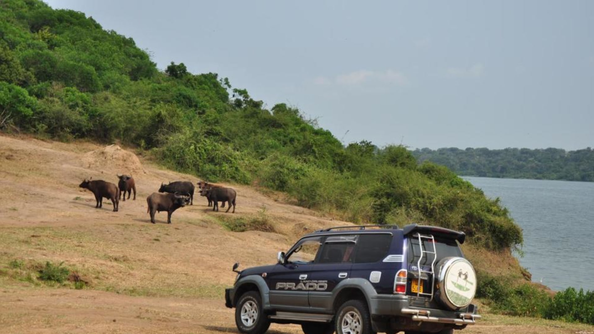 Als Selbstfahrer unterwegs in Uganda