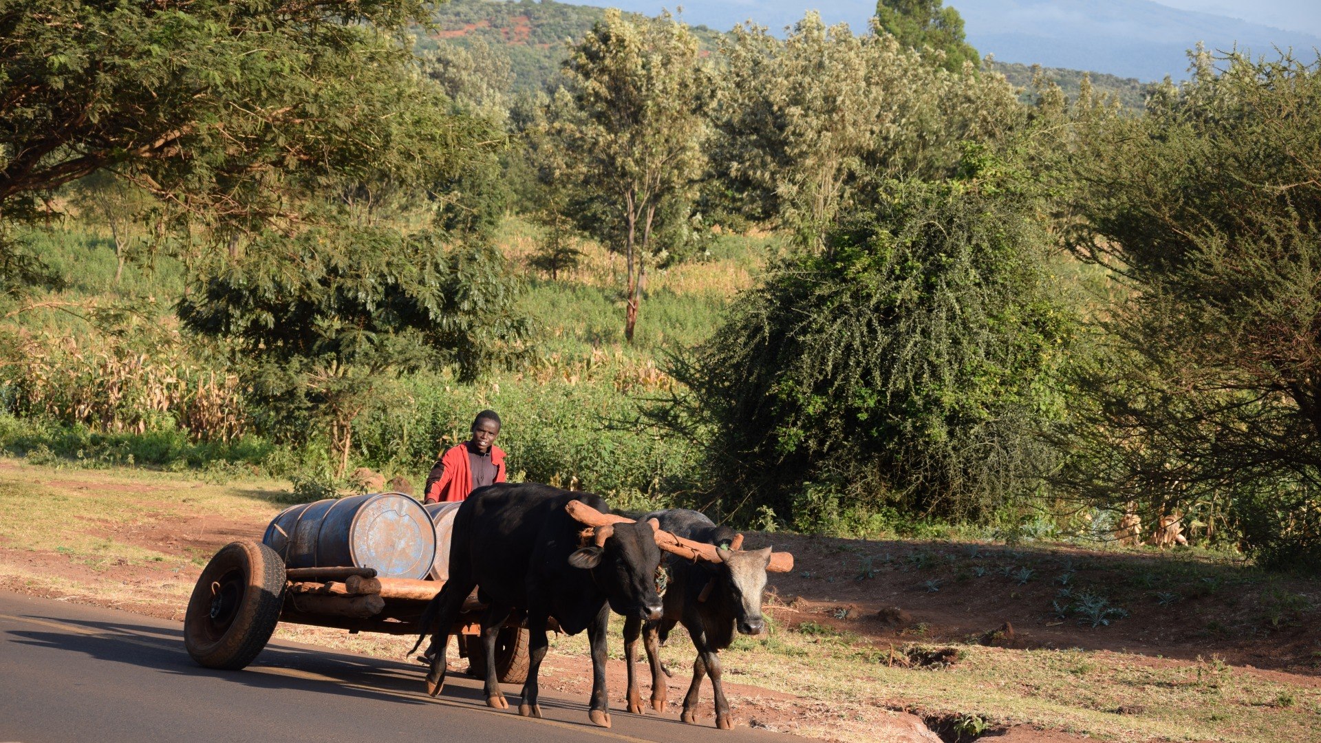 National route arusha