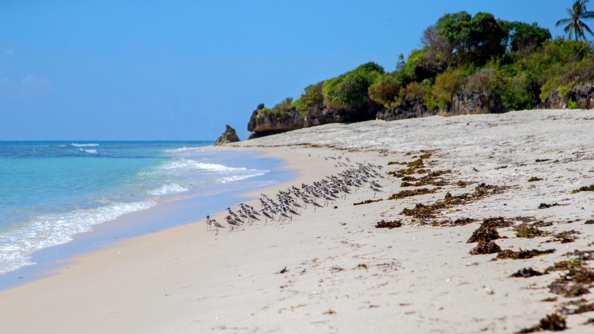 Strand Mombasa Indischer Ozean