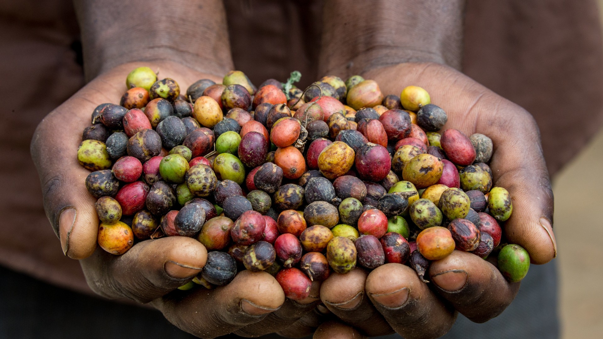 Uganda - 14 Tage in der Kleingruppe zu den Berggorillas 