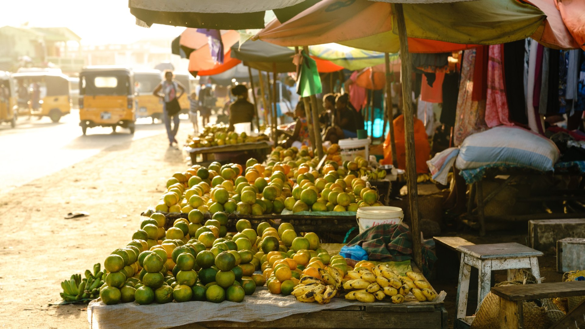 Die Vielfalt von Madagaskar 