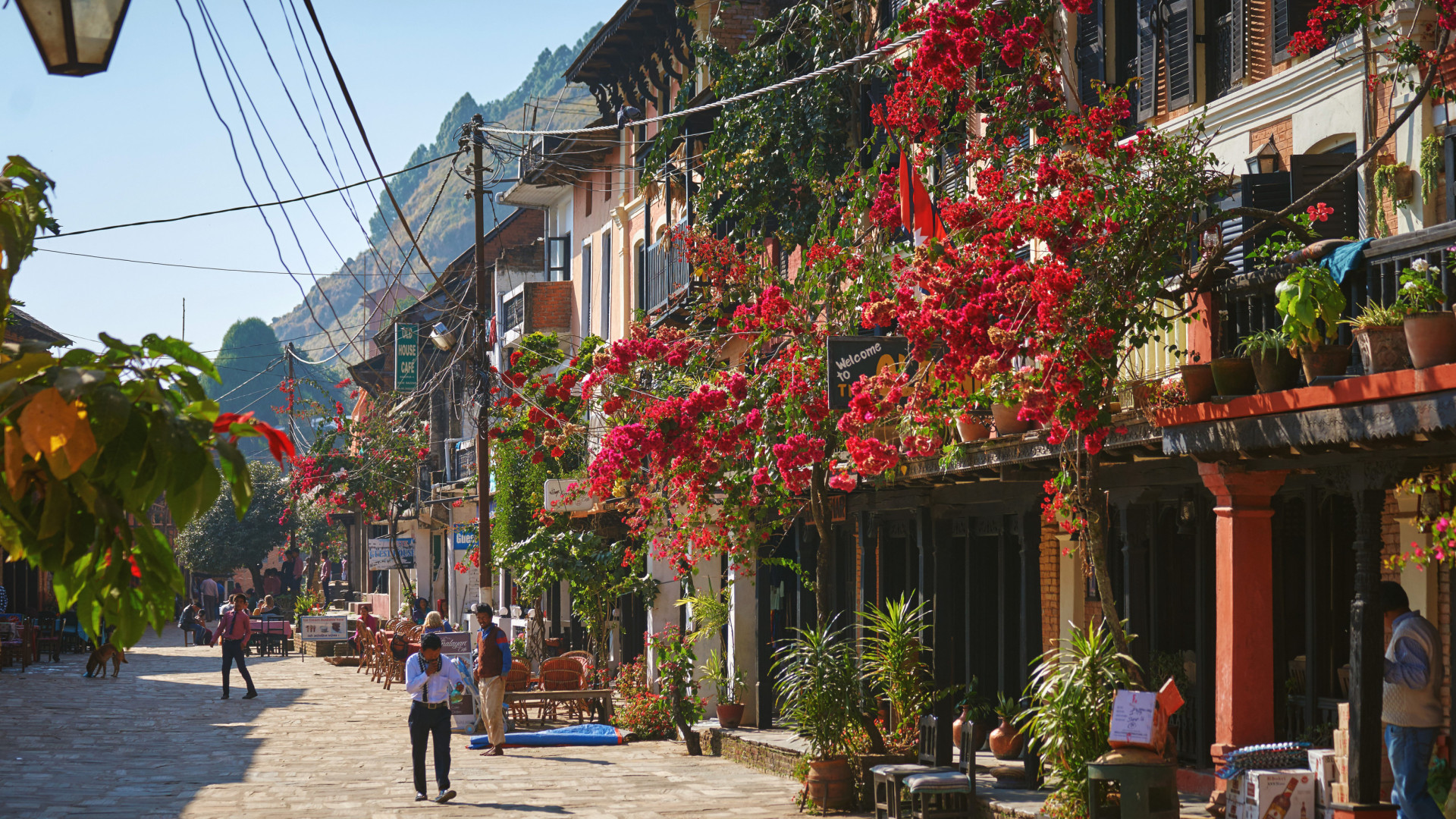 MWR Exklusiv - Dhaulagiri Umrundung mit Dhampus Peak (6.012 m)