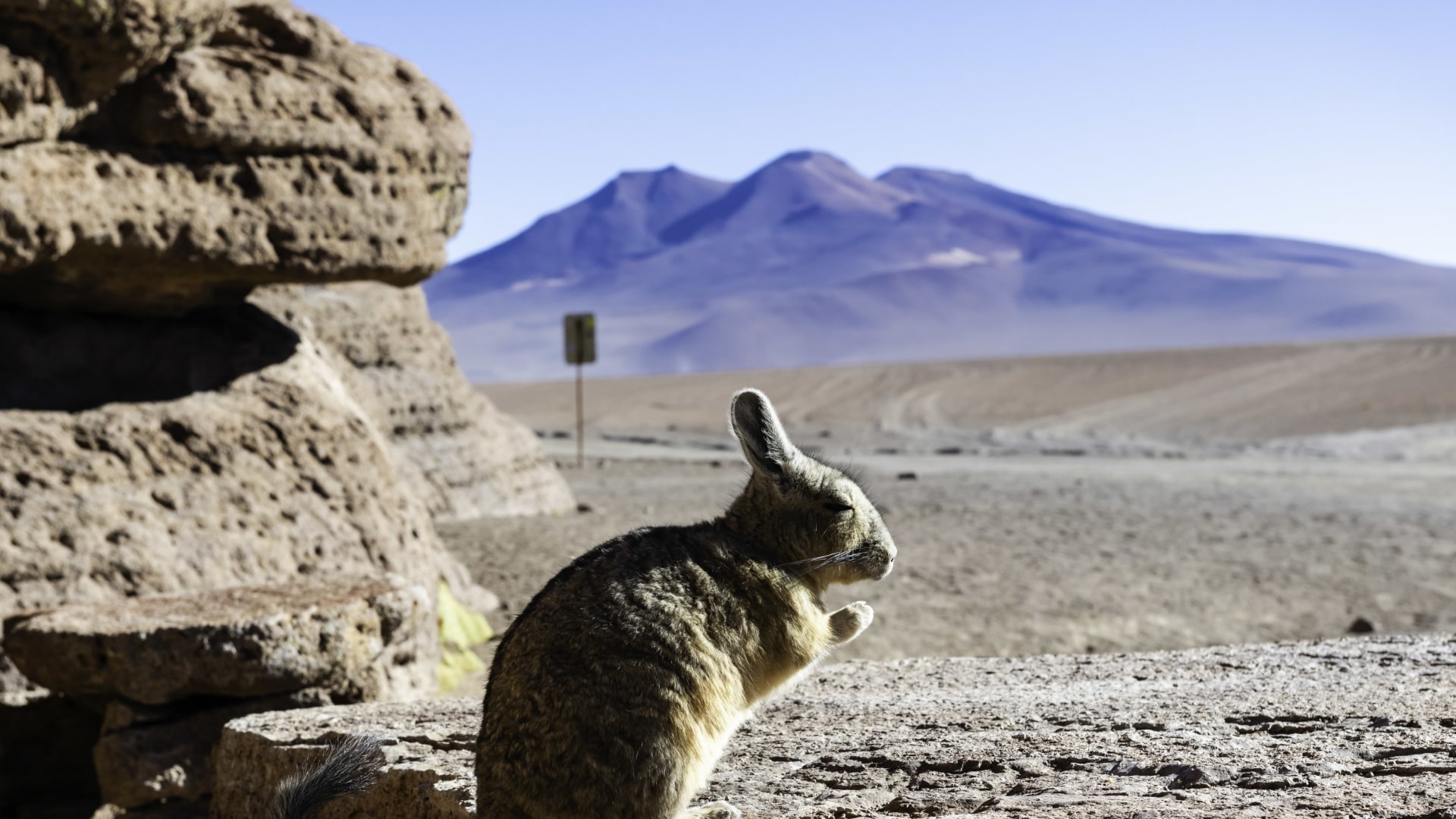 Natur und Kultur im Herzen von Südamerika