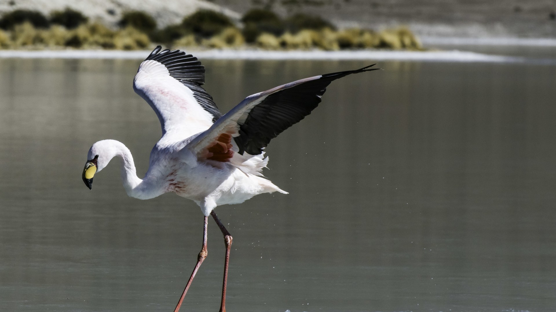 Natur und Kultur im Herzen von Südamerika