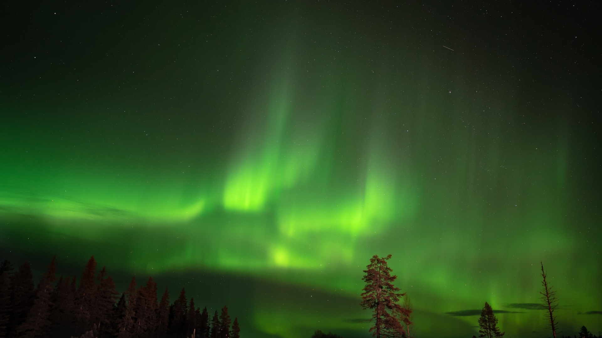 Polarlicht in Arvidsjaur