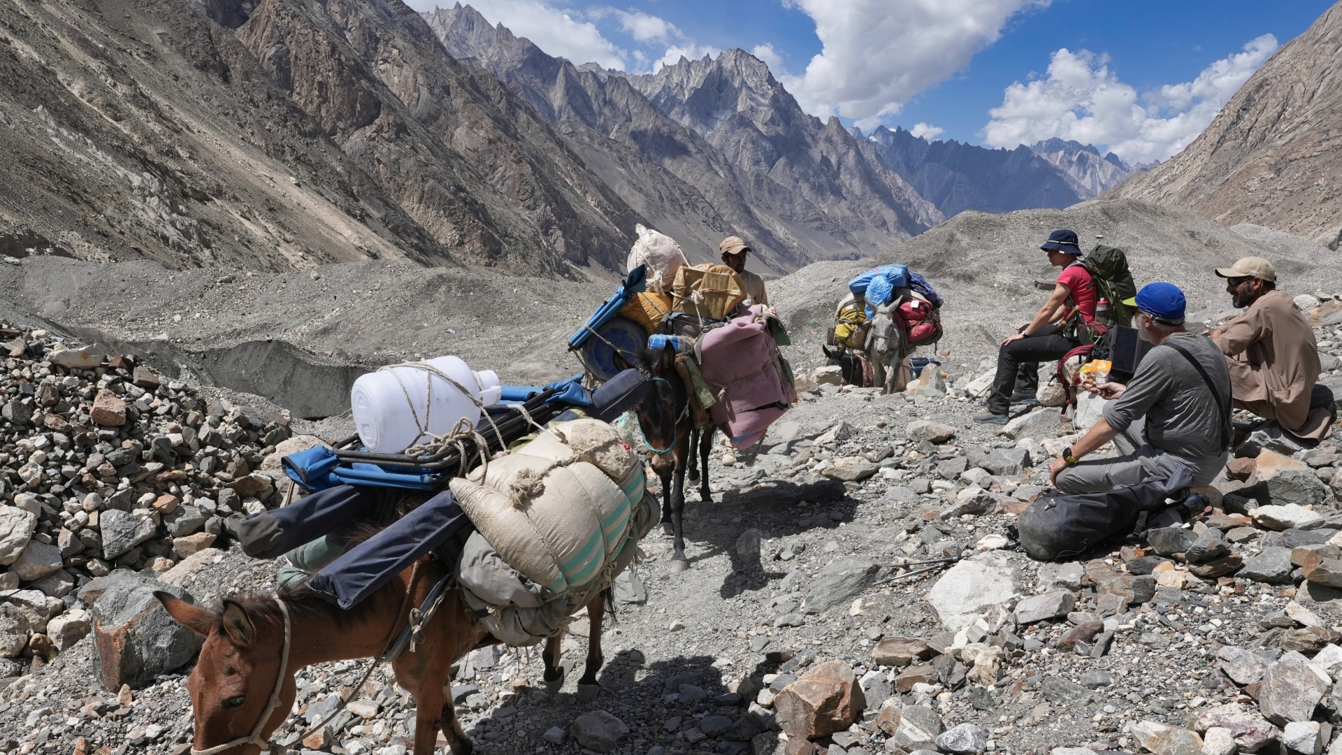 Vom K2 zum Nanga Parbat