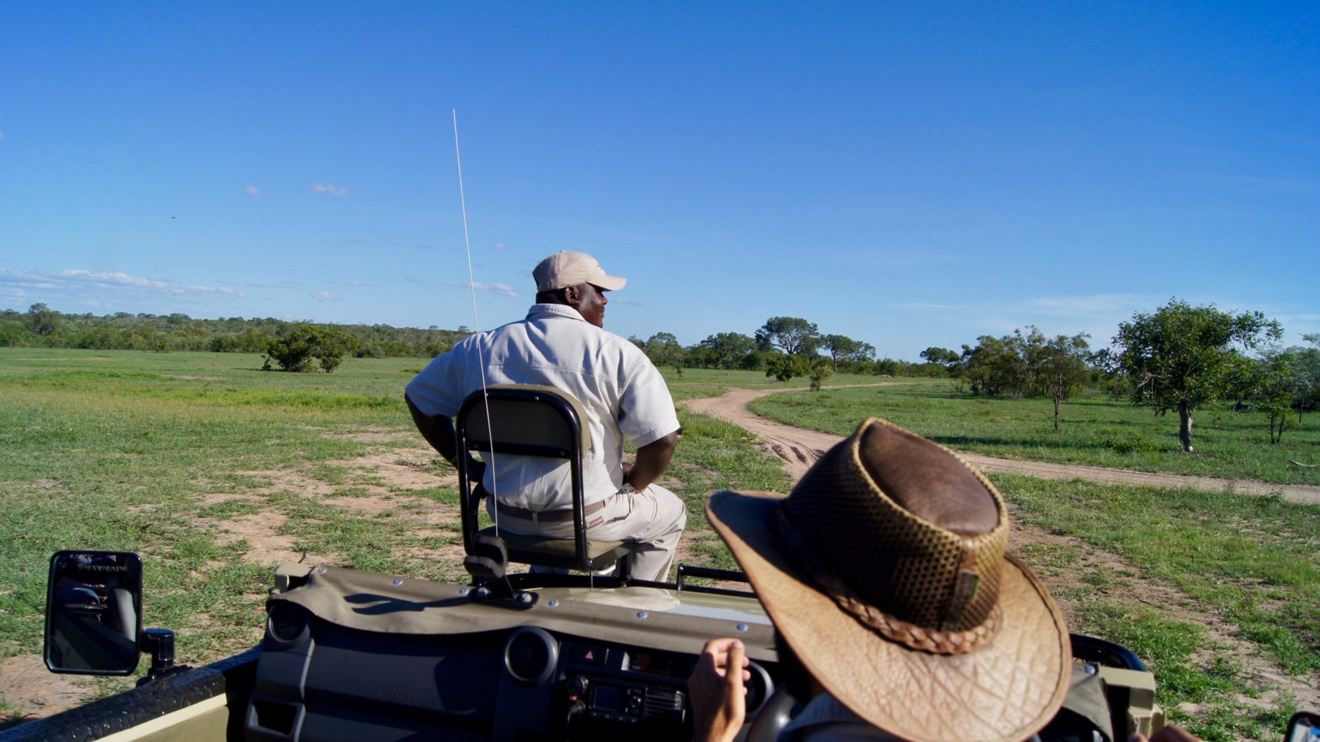 Krüger Nationalpark Safari