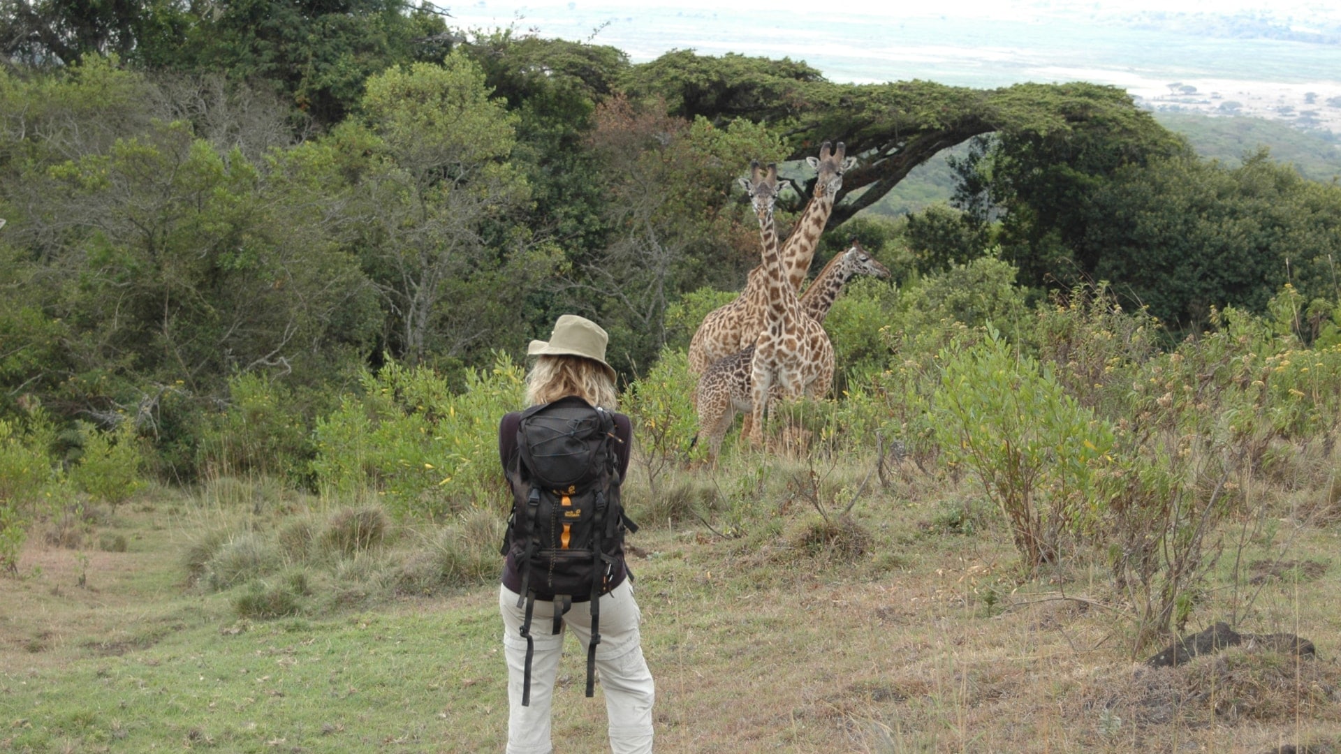 Wildtiere  auf der ersten Etappe